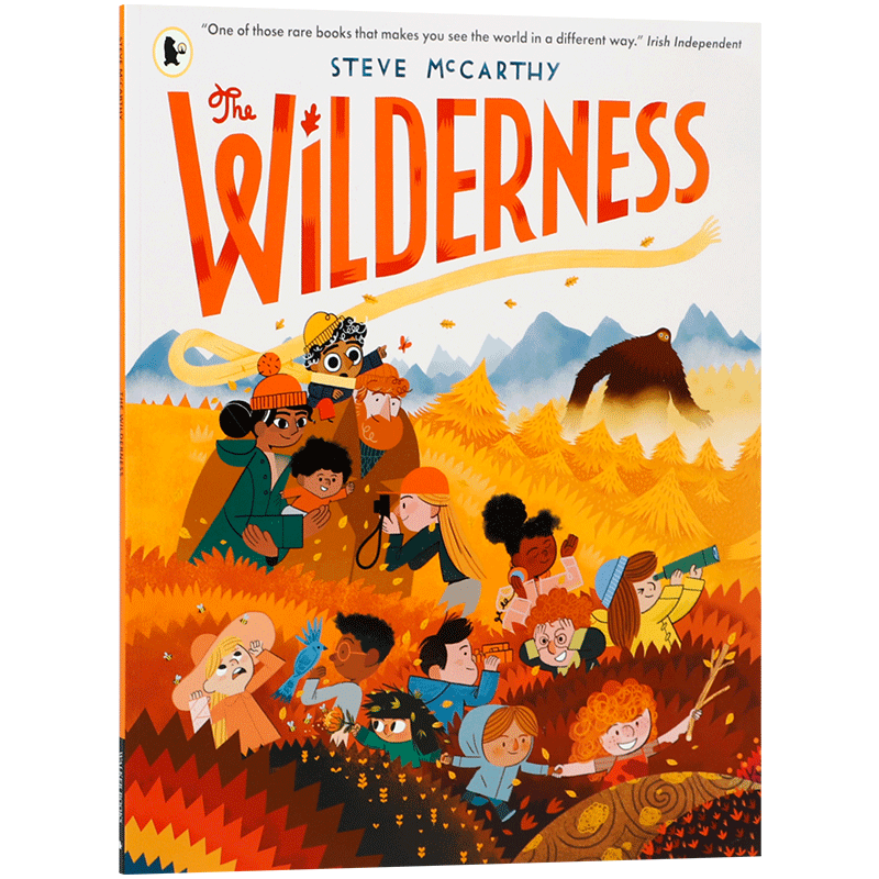 预售英文原版Steve McCarthy：The Wilderness 荒野 入围2022KPMG爱尔兰奖冒险勇气故事社交礼仪友谊 4-8岁儿童启蒙艺术绘本