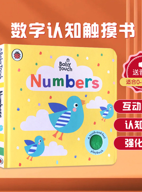 英文原版Baby Touch: Numbers数字认知玩乐低幼宝宝触摸书大开本纸板书开拓思维儿童启蒙认知图书3-6岁撕不烂儿童趣味阅读绘本
