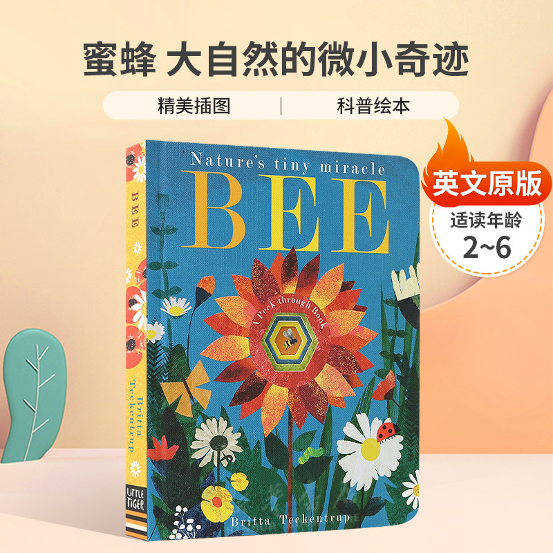 英文原版Bee: Nature's tiny miracle蜜蜂 大自然的微小奇迹自然世界探索科普洞洞书纸板绘本4-8岁