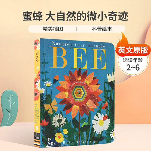 英文原版Bee: Nature's tiny miracle蜜蜂 大自然的微小奇迹自然世界探索科普洞洞书纸板绘本4-8岁
