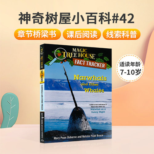 神奇树屋小百科#42 Narwhals and Other Whales 英文原版经典冒险小说Magic Tree House Fact Tracker儿童课外阅读趣味初级章节书