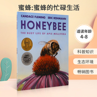 忙碌生活 儿童宝宝思想启蒙纸板绘本 Busy Apis Mellifera The Life 纽约公共图书馆年度最佳 英文原版 蜜蜂 Honeybee