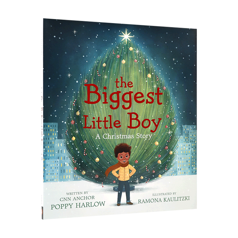 英文原版 The Biggest Little Boy: A Christmas Story 圣诞节 最大的小男孩 圣诞节故事 4-8岁儿童宝宝启蒙益智精装绘本