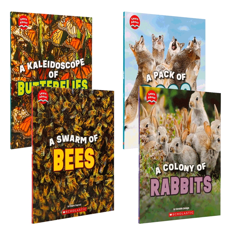 英文原版 大自然生物科普 系列4本 Learn About: Animals: A Colony of Rabbits/ A Swarm of Bees 儿童启蒙了解动物世界绘本