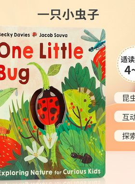 英文原版 One Little Bug (One Little) 一只小虫子 鼓励孩子探索自然认知绘本 4-8岁互动阅读科普百科翻翻书纸板书