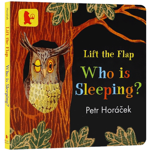 英文原版绘本 Who Is Sleeping?谁在睡觉？捷克绘本大师Petr Horacek 2-5岁幼儿英语启蒙认知绘本 亲子共读宝宝早教纸板翻翻书