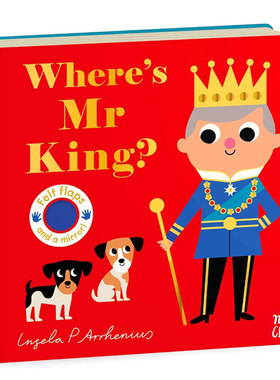 英文原版Where's Baby Chick? /Where's Mr Pirate?/Where's Mrs T-Rex?亲子互动启蒙认知毛毡翻翻书 触摸互动 感官训练2-6岁