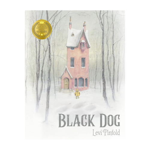 英文原版 Black Dog 黑狗 凯特格林纳威奖绘本 Levi Pinfold作 儿童阅读情绪感受平装绘本 认知情绪心理 8-12岁