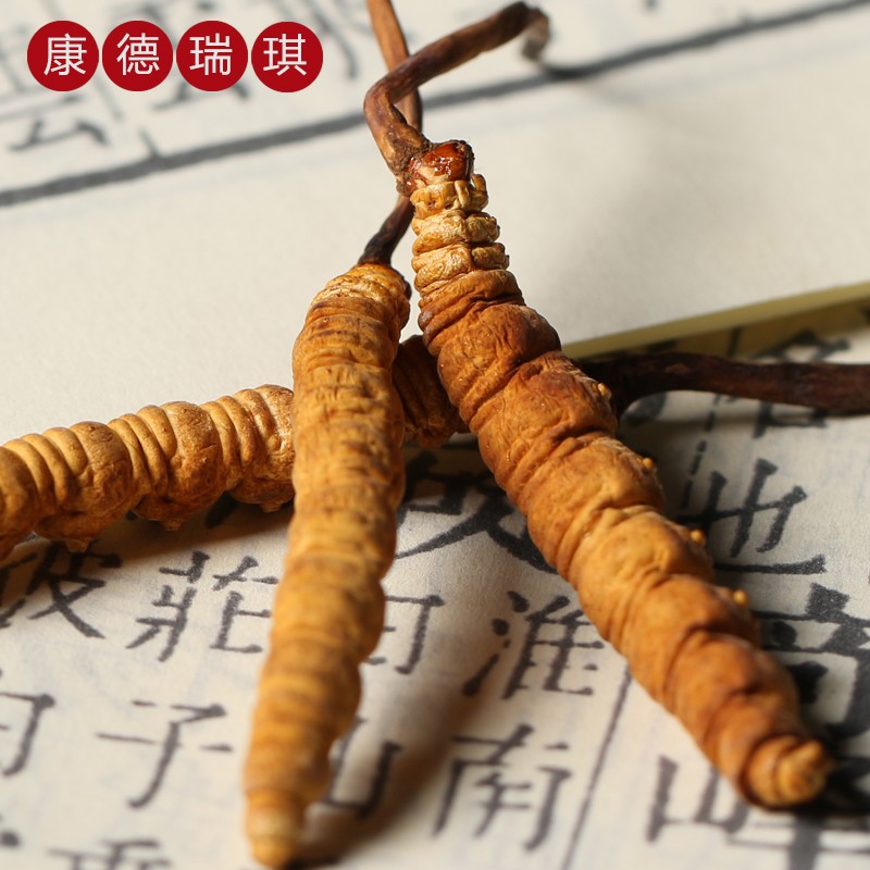 冬虫夏草干货正品2-3根/g1克 正宗2000条头期虫草礼盒装