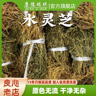 水灵芝中药材鱼胆草灵芝草水黄莲整棵有根生晒无硫青鱼胆草