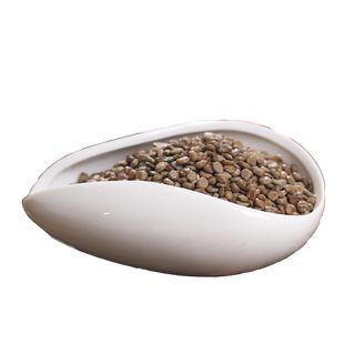 望江南500克 羊角豆 野扁豆 望江南子 山绿豆 伸筋豆 中药材