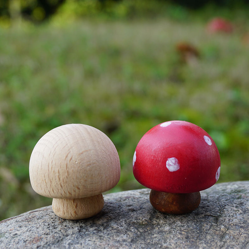 可爱蘑菇木质摆件 创意手工DIY手绘绘画涂色涂鸦Wooden Peg Dolls