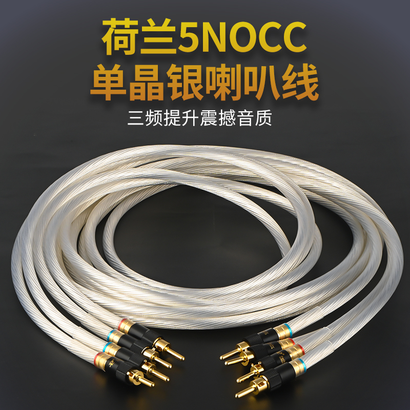 新品荷兰进口5nocchifi发烧喇叭