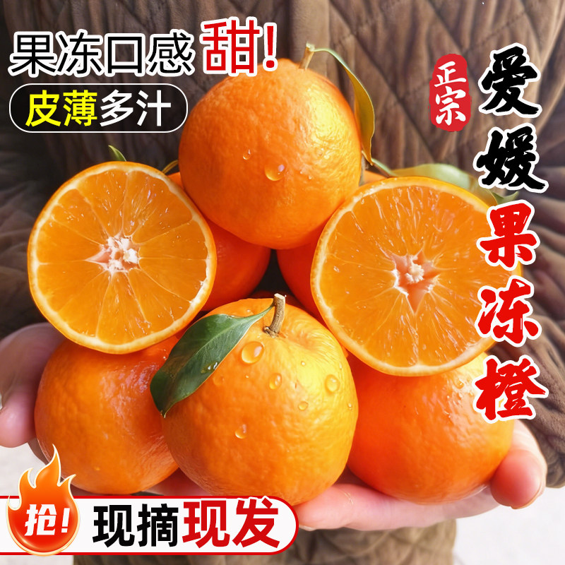 四川爱媛38号果冻橙10斤大果橙子新鲜当季水果柑橘蜜桔子整箱包邮,水产肉类/新鲜蔬果/熟食,橙,淘宝优惠券,粉丝福利购,淘宝优惠卷