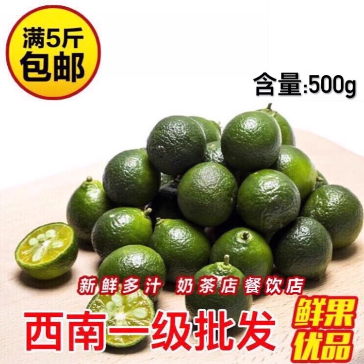 1斤装 满5斤包邮 正宗海南青金桔新鲜水果青金橘小青桔 餐饮奶茶