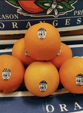 Sunkist美国柳橙新鲜水果