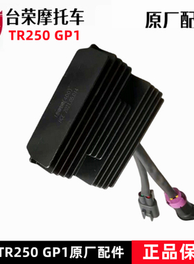 台荣TR250 400 GP1探路者整流器充电稳压器调压充电器原厂配件