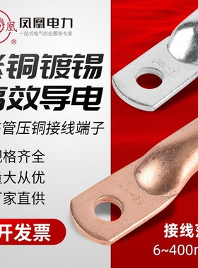 凤凰 管压式接线端子DTG/101625355095120线鼻子紫铜线 镀锡 批发