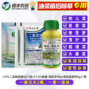 甘蓝型油菜专用苗后除草剂精喹草除灵二氯吡啶酸除鬼针草刺菜繁缕