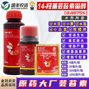 白菜小麦柑橘树水稻植物生长调节剂 新朝阳硕丰481芸苔素云台素