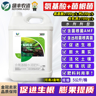 菌根菌含氨基酸水溶肥料激活土壤番茄果树促开花坐果叶面肥冲施肥