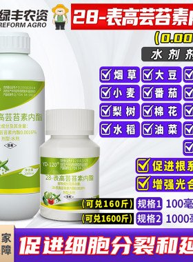 云大12028表高芸苔素内酯调节剂
