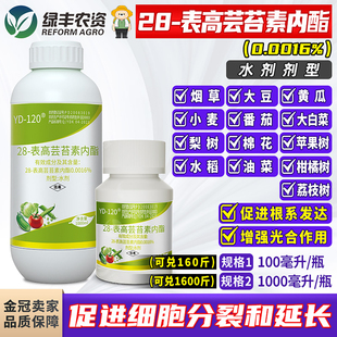 云大120 28表高芸苔素内酯苹果树小麦烟草促进细胞分裂生长调节剂