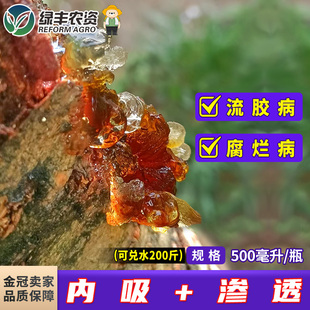 果树流胶病专用药辛菌胺醋酸盐苹果树果树腐烂病农药涂抹剂杀菌剂