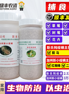 捕食螨加州新小绥螨钝绥螨斯氏钝绥螨草莓红蜘蛛蓟马白粉虱天敌