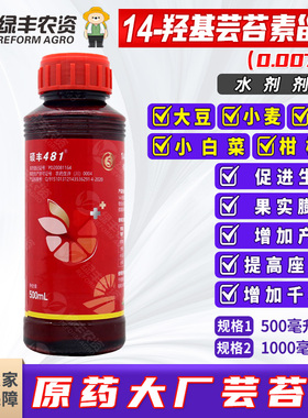 硕丰481芸苔素柑橘树水稻小麦小白菜促进生长果实膨大提高座果率