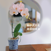 新中式 唐草纹花盆景德镇高温陶瓷花盆铜钱草水培花盆陶瓷水培碗莲