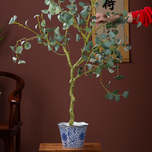 陶瓷多肉花盆家用蝴蝶兰花轻奢高级感大小号新中式青花瓷陶瓷花盆