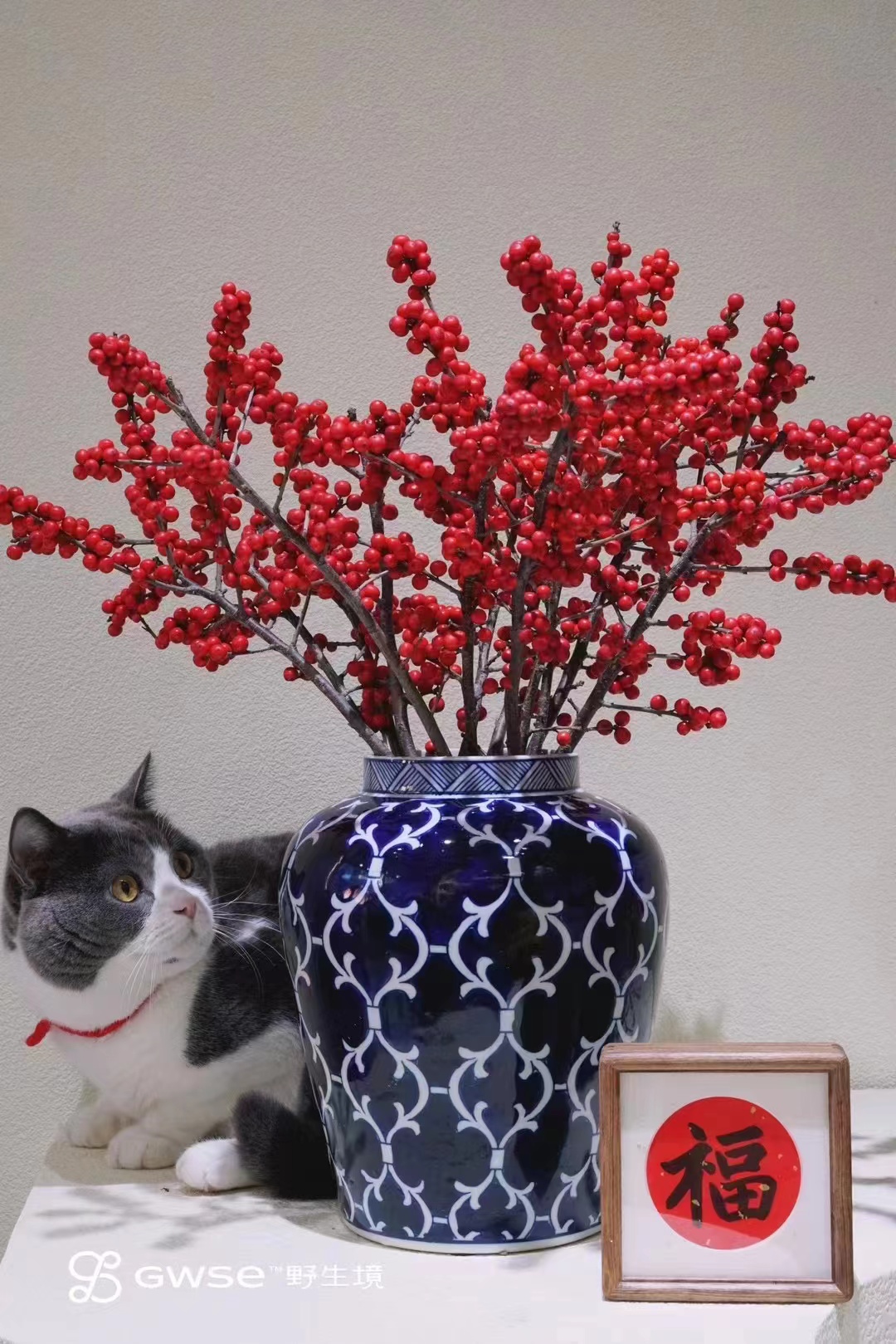 陶瓷器花瓶现代中式客厅