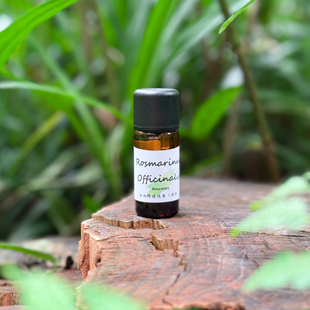 桉油醇迷迭香单方精油 10ml 天然蒸馏清劲草木香香薰芳疗调香原料