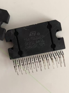 TDA75616EP汽车常用易损功放器芯片 质量保证 现货可拍