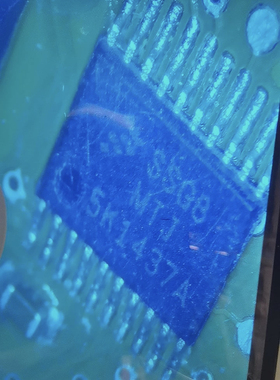 S9S08SG8E2MTJR 丝印SSG8MTJ TSSOP-20 汽车级常用微控制器IC芯