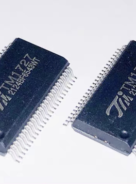 全新TM1727 SSOP48 LED驱动芯片 全新原装正品
