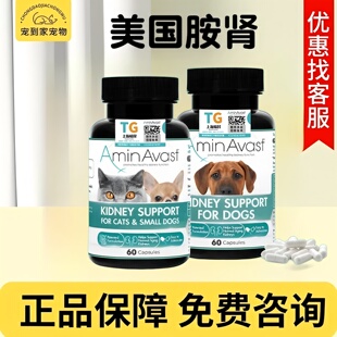 美国进口AminAvast 胺肾安心停猫狗犬用肾脏护理营养补充