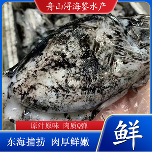 舟山新鲜鲜活冷冻大小目鱼仔乌贼章鱼海鲜水产原汁八爪墨斗花枝鱼