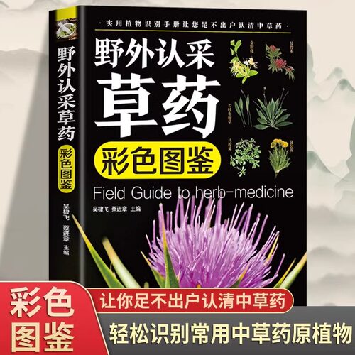 野外认采草药彩色图鉴图解中华汉方快速认药彩图全套中草药学野外识别应用彩色图鉴中草药彩图大全图解版草药材识别入门通俗易懂