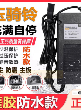 玉骑铃电动车充电器48V60V72V96V108V20Ah原装灌胶防水新款国标头