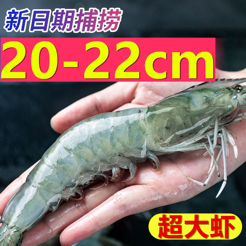 【新日期】青岛大虾超大大虾海鲜鲜活冷冻水产白虾青虾基围虾冻虾