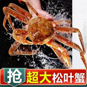 松叶蟹非鲜活帝王蟹冰鲜长脚蟹俄罗斯1.5到3斤特大板蟹雪蟹腿螃蟹