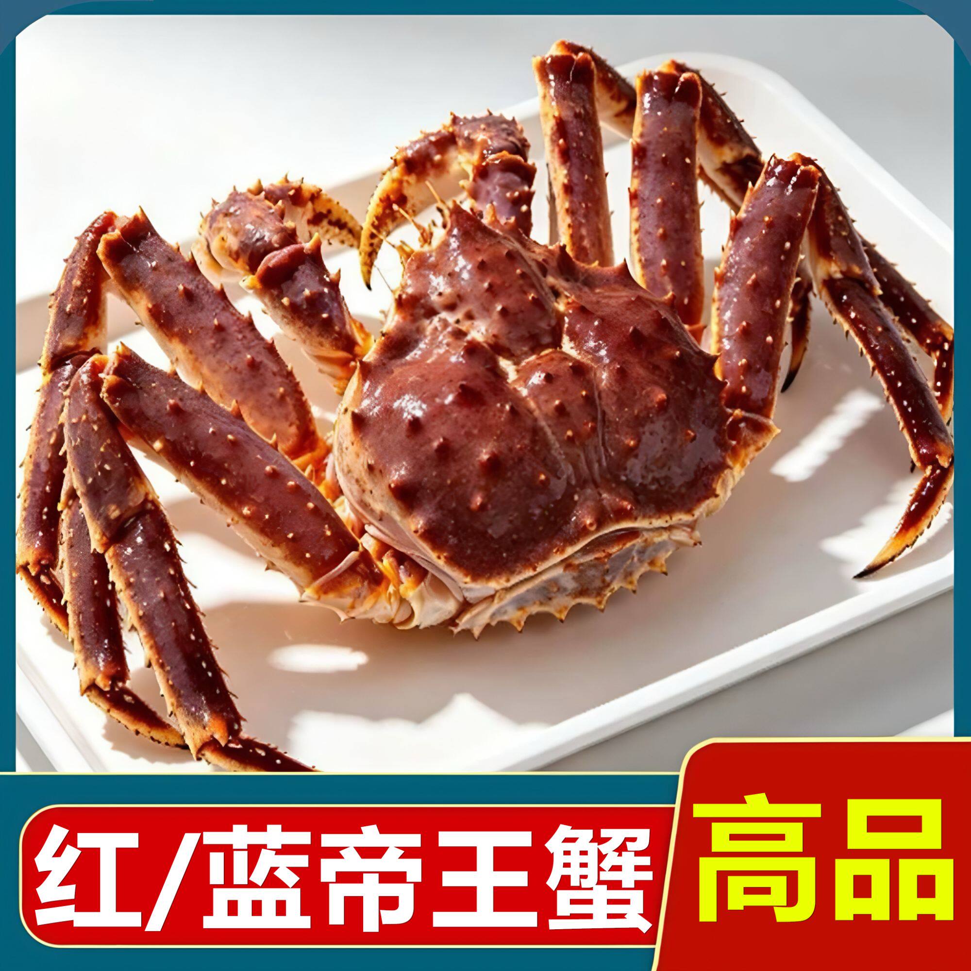 超大帝王蟹鲜活粽蟹生冻红蟹海鲜特大熟冻螃蟹活帝王蟹长脚蟹整只