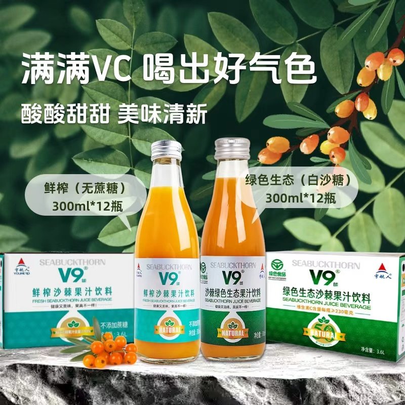 宇航人v9绿色鲜榨沙棘果汁饮料升级0蔗糖0防腐剂300ml*12瓶