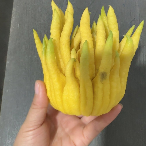 【实惠果】正宗金华佛手柑，二级佛手果 老香黄闻香 食用 泡酒