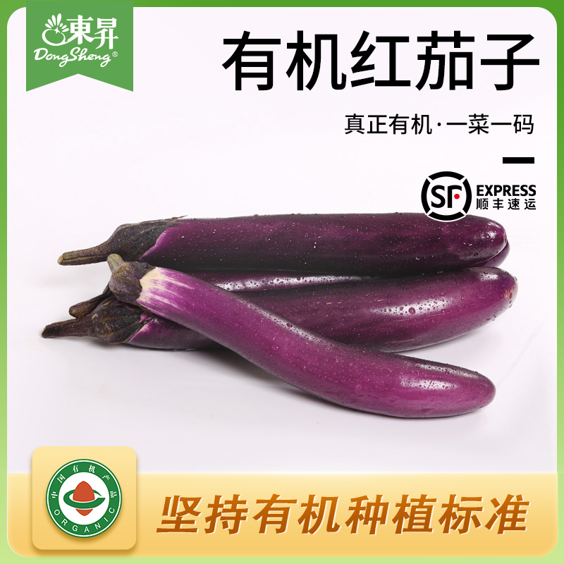 东升农场 新鲜有机红茄子紫茄子 烧烤食材 广州蔬菜新鲜配送400g