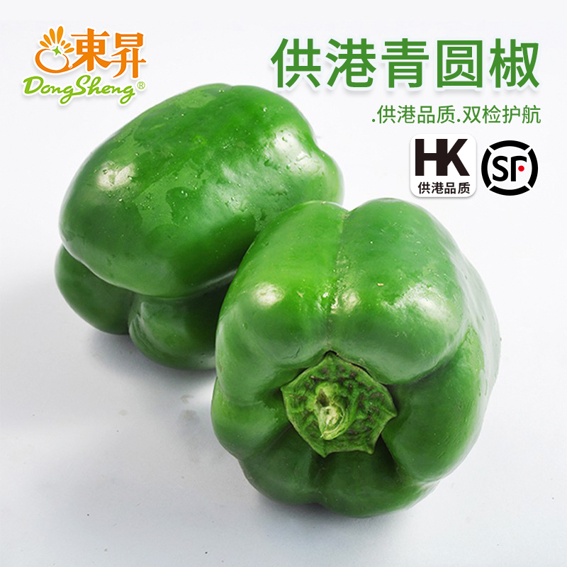 东升农场新鲜青圆椒广州宝宝辅食