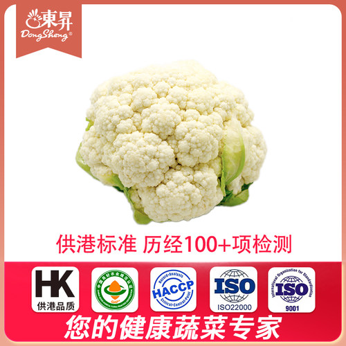 白菜花价格 白菜花图片 星期三