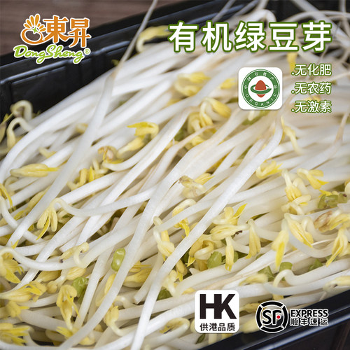 东升农场 有机绿豆芽 新鲜蔬菜 广州发货 250g